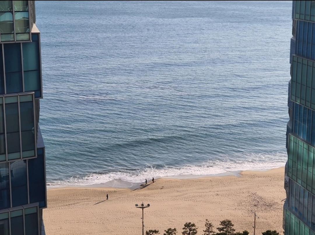 Haeundae Lavender House-Irua Hotel 釜山 外观 照片